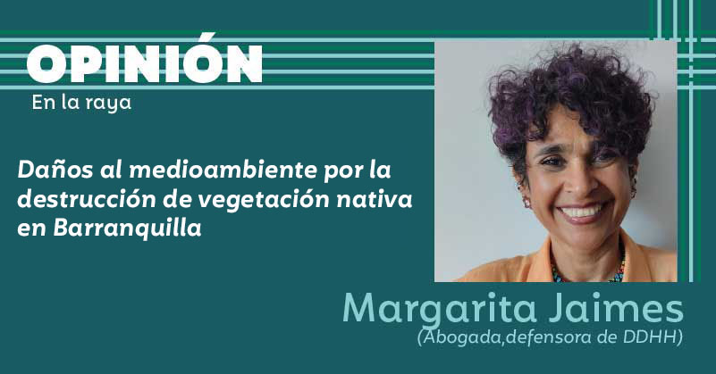 Daños al medioambiente por la destrucción de vegetación nativa en Barranquilla