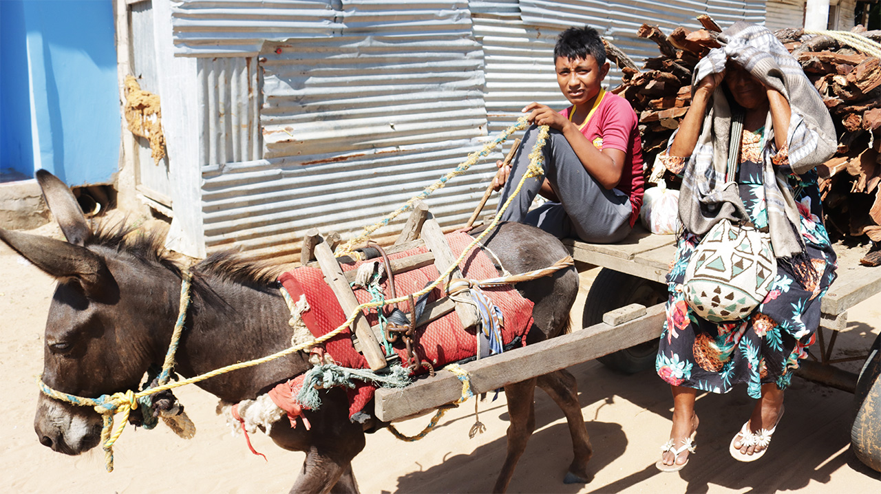 PalenqueEnGuajira1