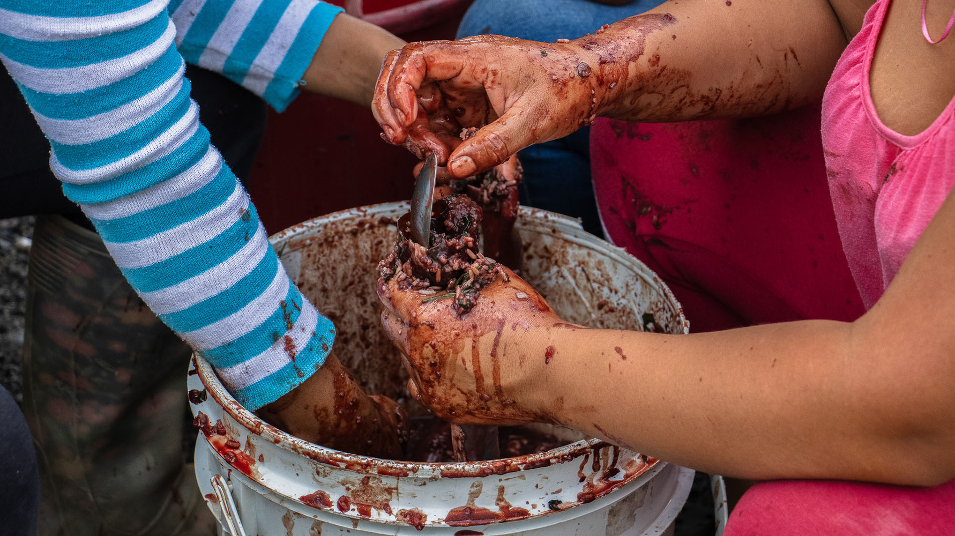 EducacionIndigena 12