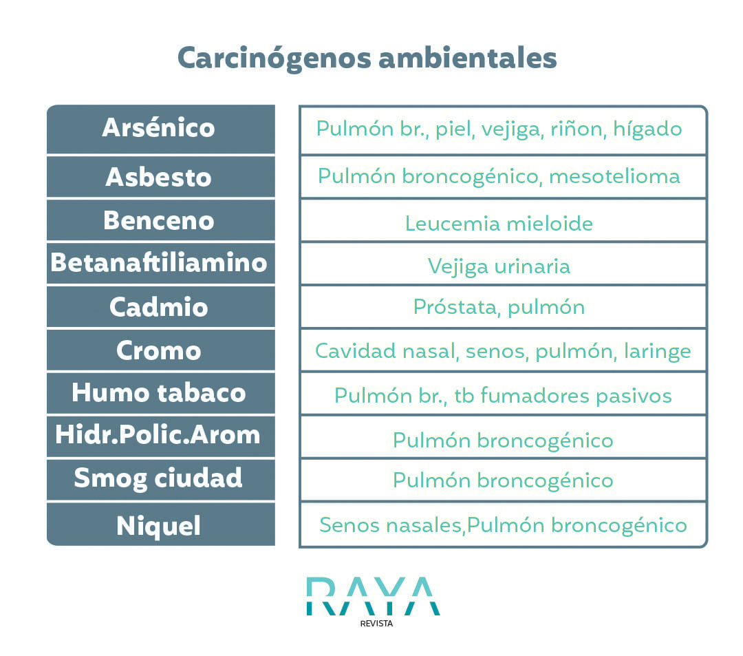 infografía 1