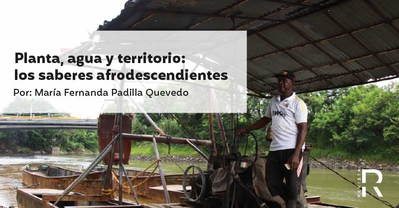 Planta, agua y territorio: los saberes afrodescendientes 