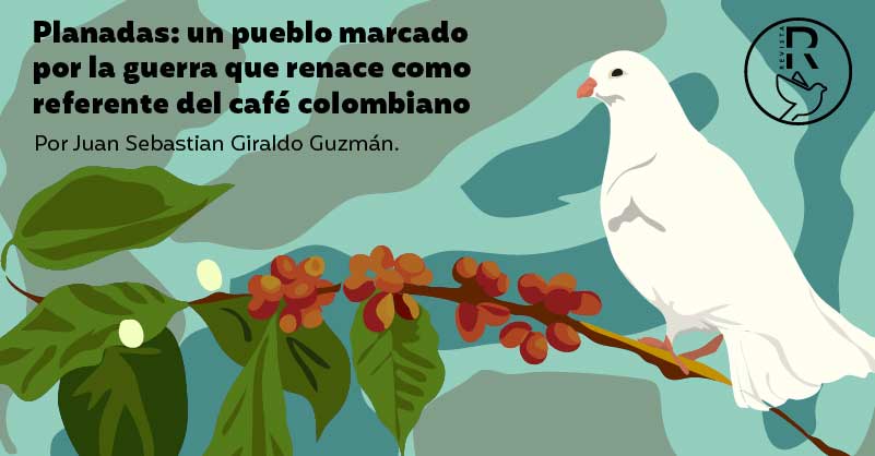 Planadas: un pueblo marcado por la guerra que renace como referente del café colombiano