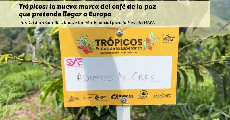 Trópicos: la nueva marca del café de la paz que pretende llegar a Europa 