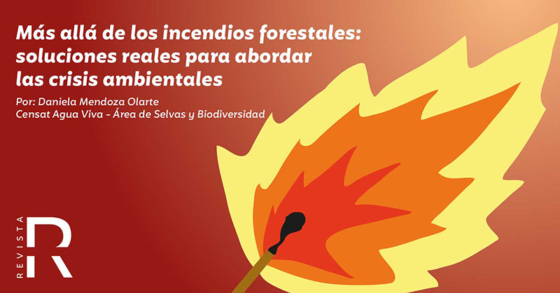 Más allá de los incendios forestales: soluciones reales para abordar las crisis ambientales