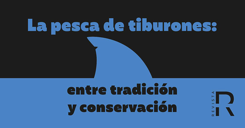 Pesca de Tiburones: entre tradición y conservación