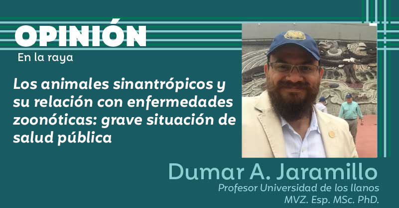 Los animales sinantrópicos y su relación con enfermedades zoonóticas: grave situación de salud pública